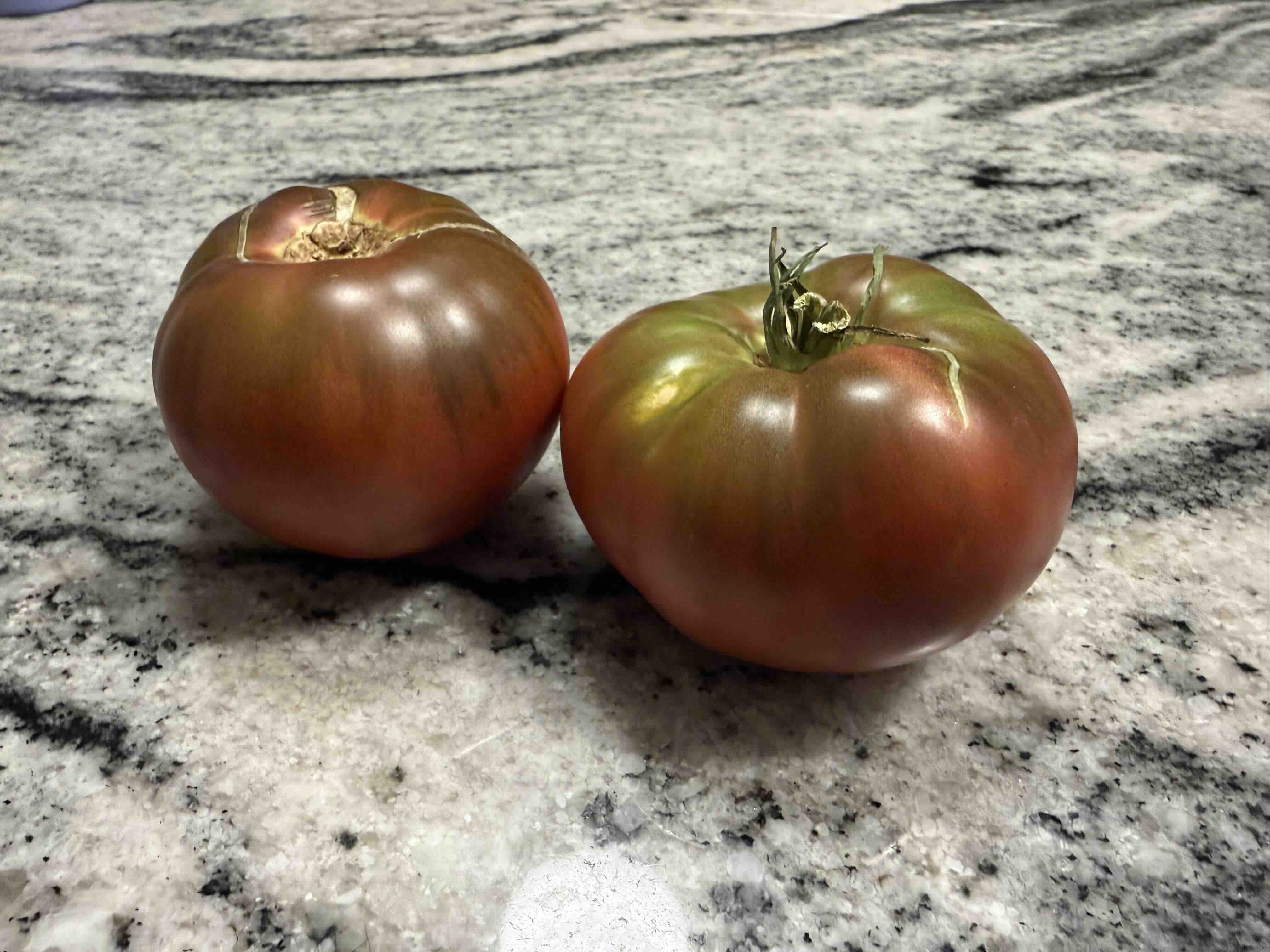 The same Cherokee Purples finishing on the counter, safe from rain, heat, squirrels, and hornworms. Two Cherokee Purple tomatoes ripening on a kitchen counter